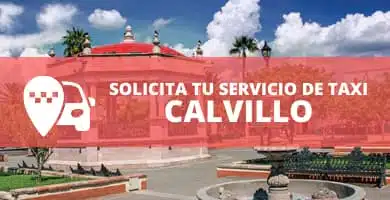 telefono radio taxi calvillo