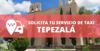 telefono radio taxi tepezala