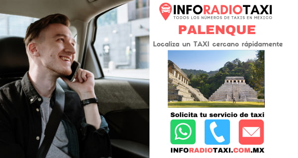 radio taxi Palenque