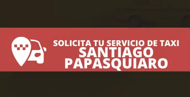 radio taxi Santiago Papasquiaro