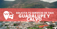 telefono radio taxi Guadalupe y Calvo