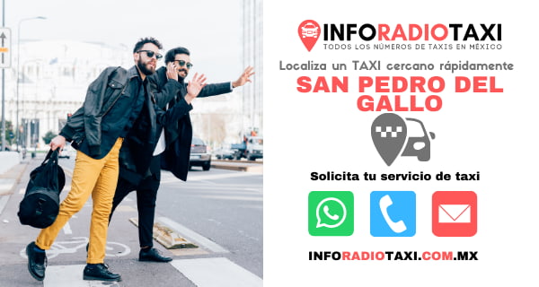 telefono radio taxi San Pedro del Gallo