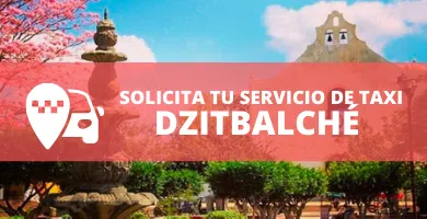 telefono radio taxi dzitbalche